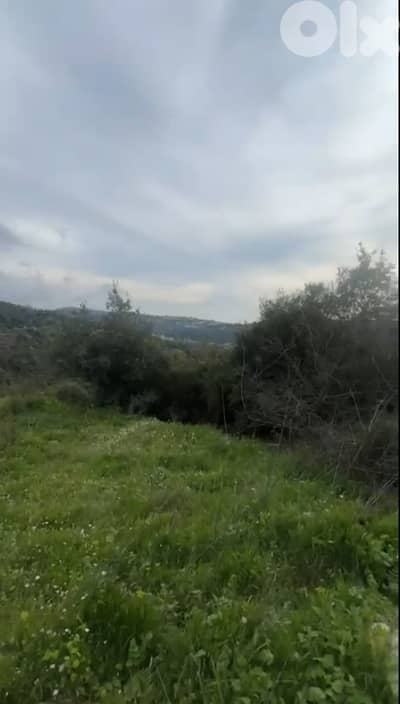 Land for sale in Toula, Batroun أرض للبيع في تولا، البترون