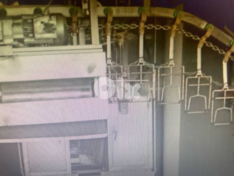 slaughter house chicken for sale 1