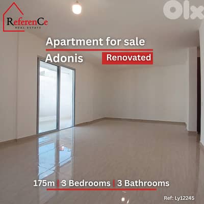 Renovated apartment in Adonis for sale شقة في أدونيس للبيع