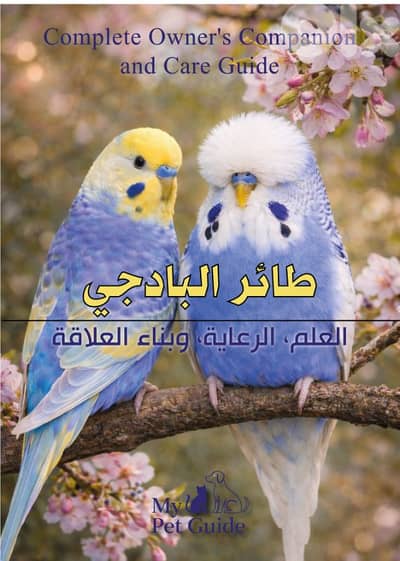 Online book English and عربي