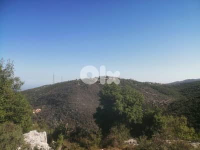 Land for sale in ras osta Jbeil عقار للبيع في راس اسطا جبيل