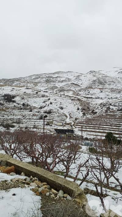 أرض البيع في عين داره عاليه land for sale in ain dara aley