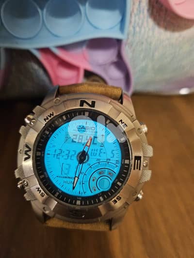 Casio watch hunting timer