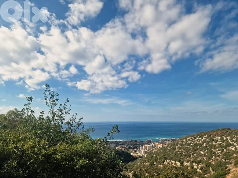 L20205 - A 1334 SQM Land For Sale in Basbina, Batroun 2