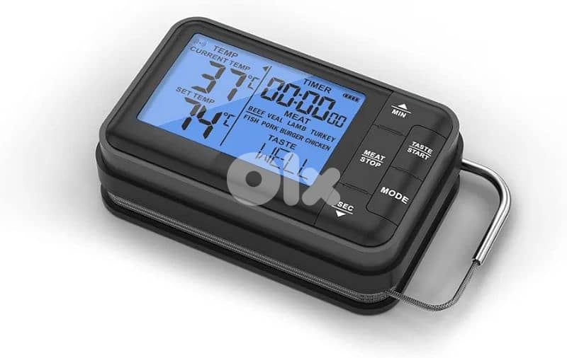 barbecue thermometer 2