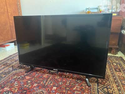 bush led tv تلفزيون