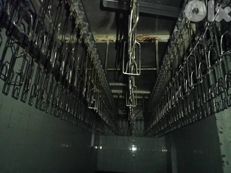 slaughter house chicken for sale 2