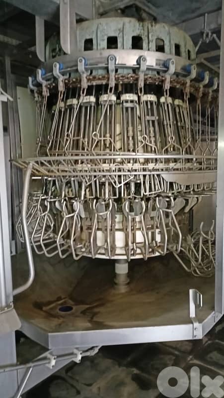 slaughter house chicken for sale 4