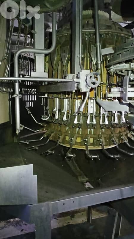 slaughter house chicken for sale 5