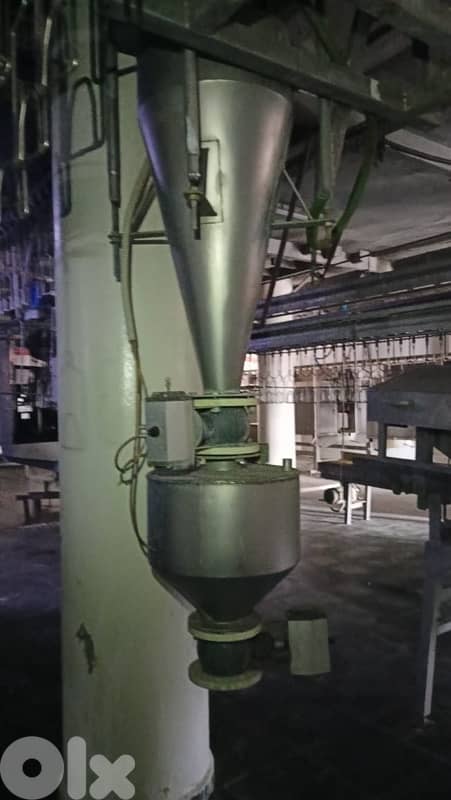 slaughter house chicken for sale 7