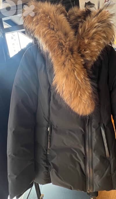 MACKAGE Coats Jacket