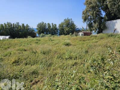 RWB571EA - Land for rent in Halat Jbeil