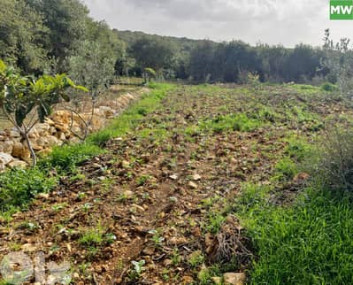 Land for Sale peaceful investmentHamat | Batroun/حامات REF#MW131888