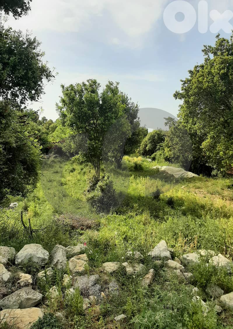 completely flat ,ideal for investment project-Aamchit REF#RS120134 1