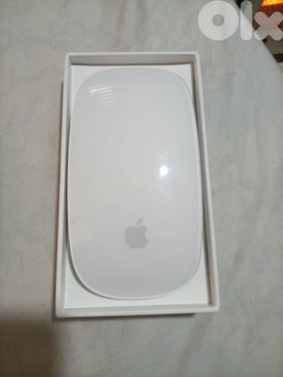apple magic mouse 2