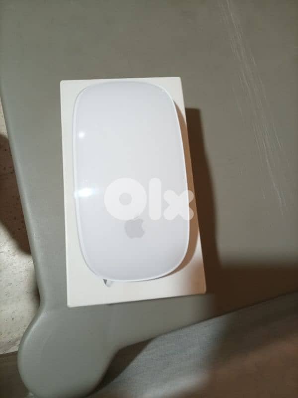 apple magic mouse 2 1