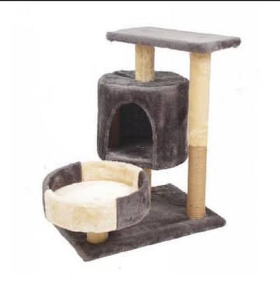 سكرتشر للقطط ٠٣٣٩٨٩٨٠