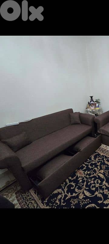 كنابيات ٢ كبار