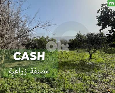 agricultural land, fully planted, Zgharta, rashiin/ زغرتا REF#YN131944