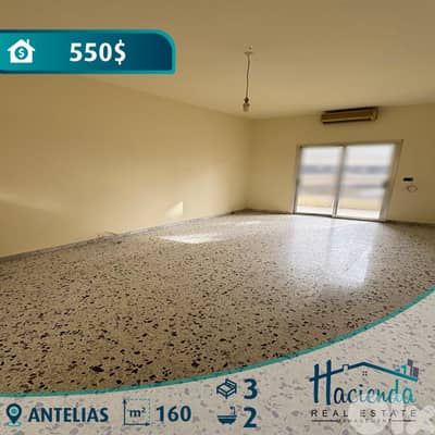 Apartment For Rent In Antelias
