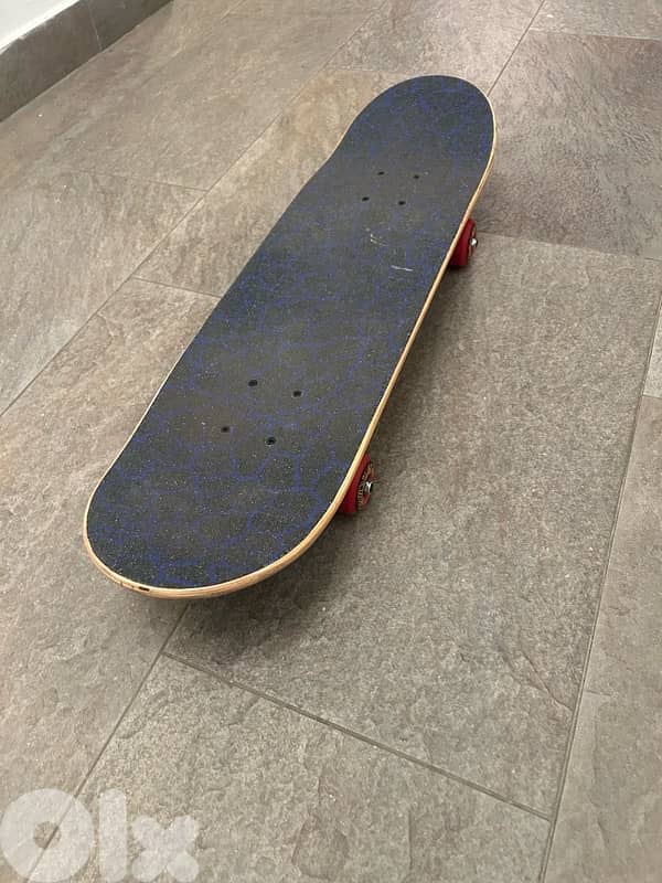 Skateboard 1