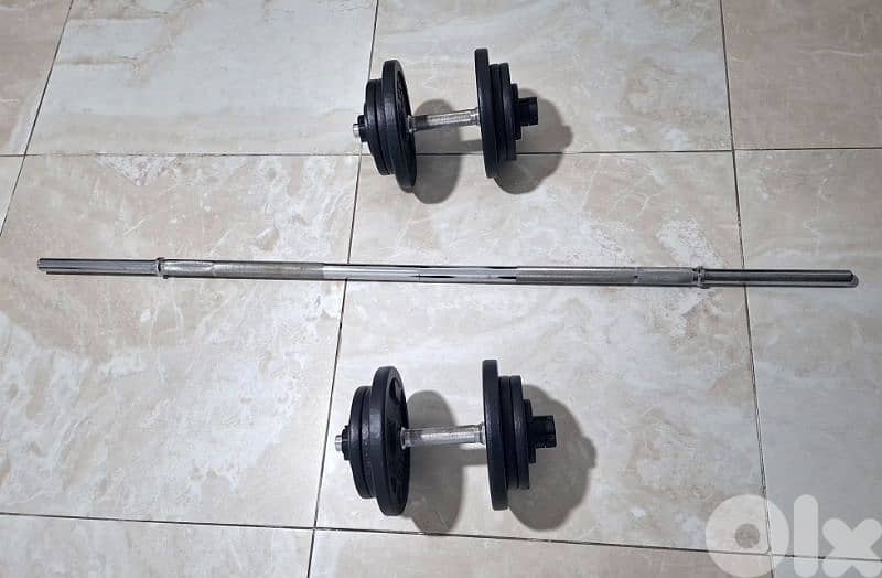 dumbbells + bench domyos 2