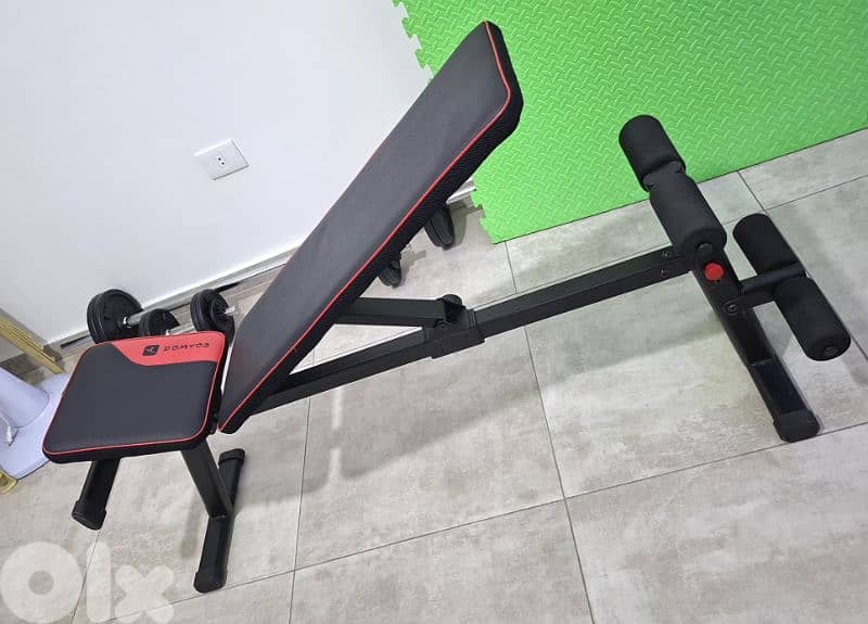 dumbbells + bench domyos 6