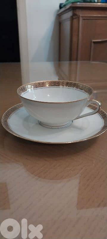 limoges plates set 5