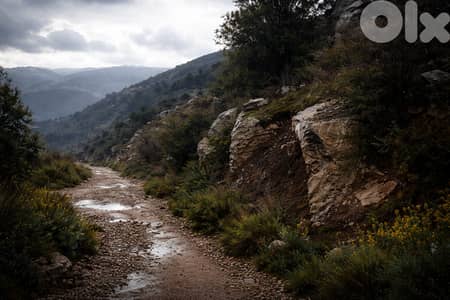 Land For sale in Kherbe Jbeil - CPES246