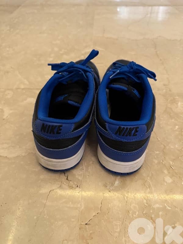 Nike dunks blue colorway 2