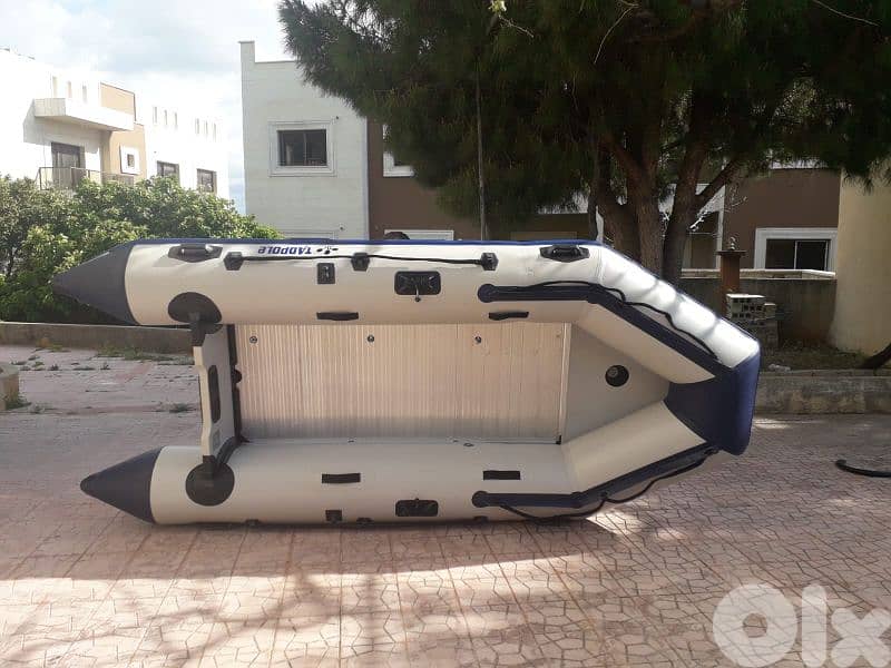 tadpole zodiac 380 2