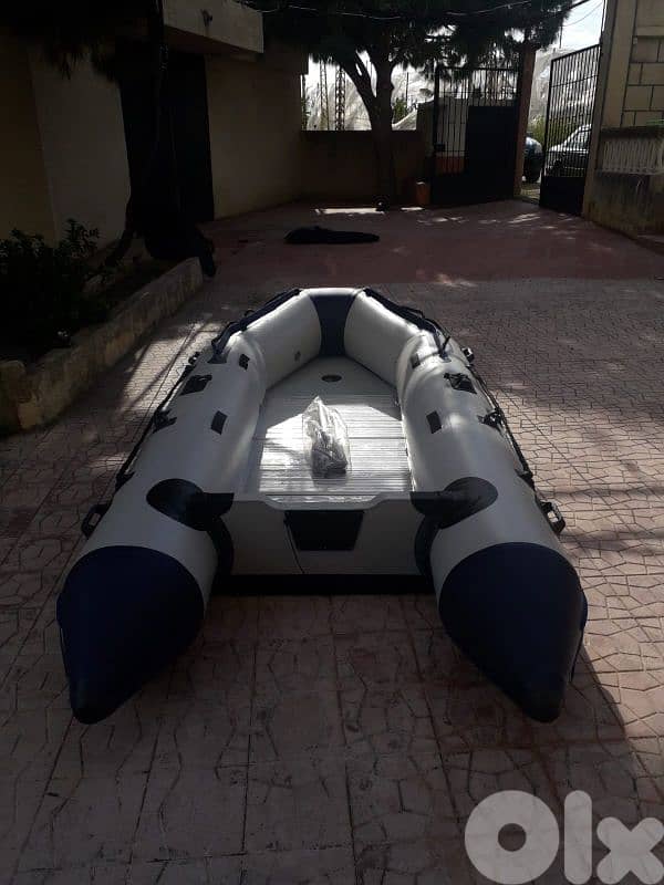 tadpole zodiac 380 3