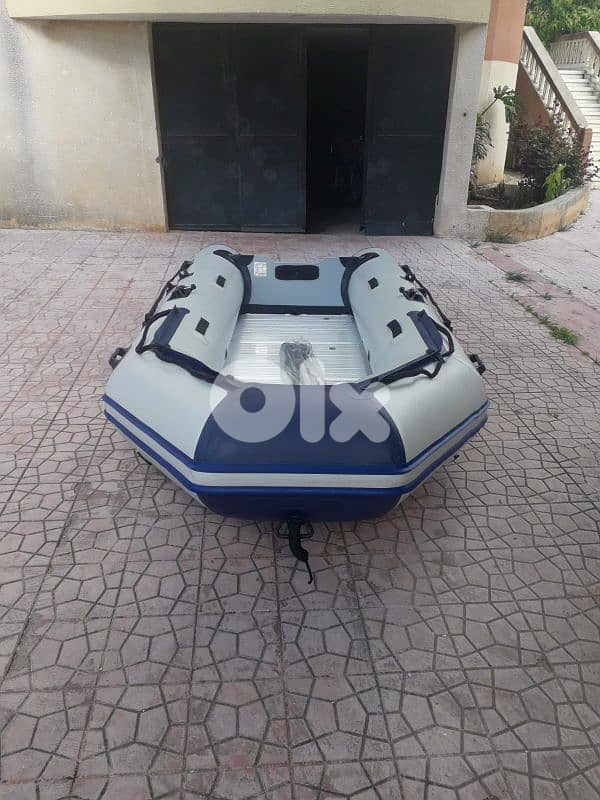 tadpole zodiac 380 4