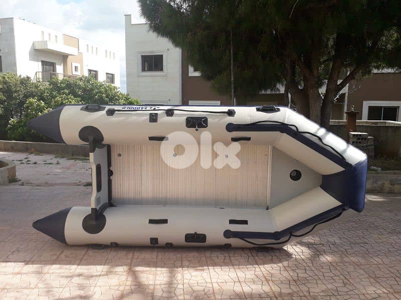 tadpole zodiac 380 5