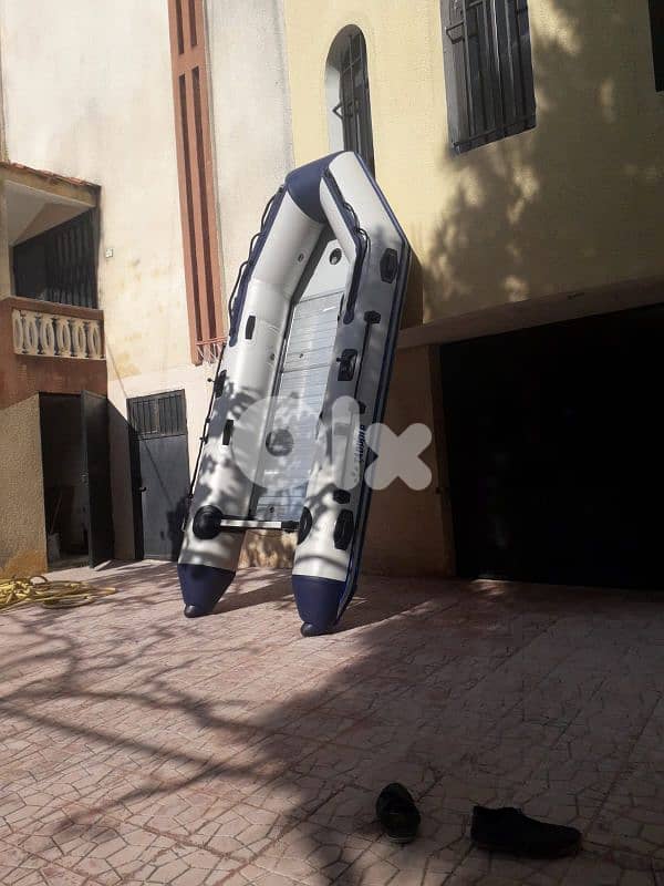 tadpole zodiac 380 6