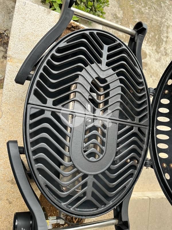 crosby gas bbq grill 2