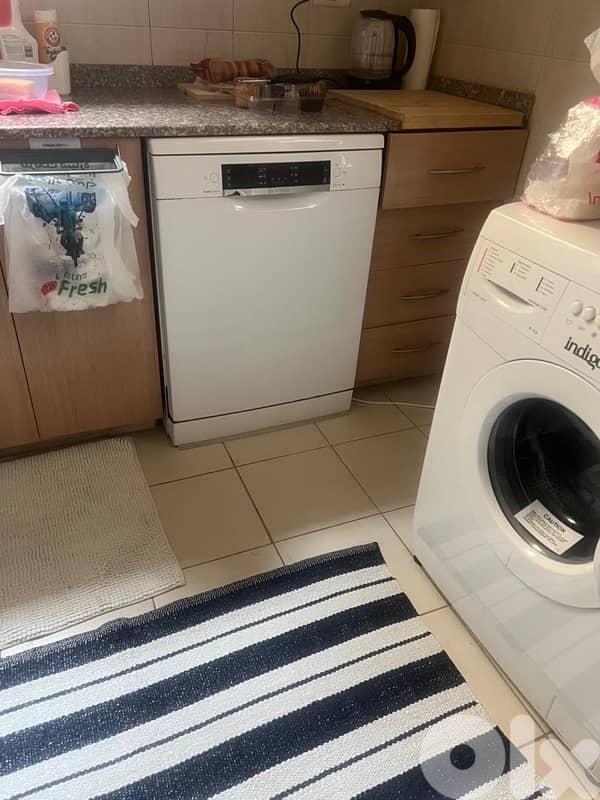 fridge and dishwasher 2