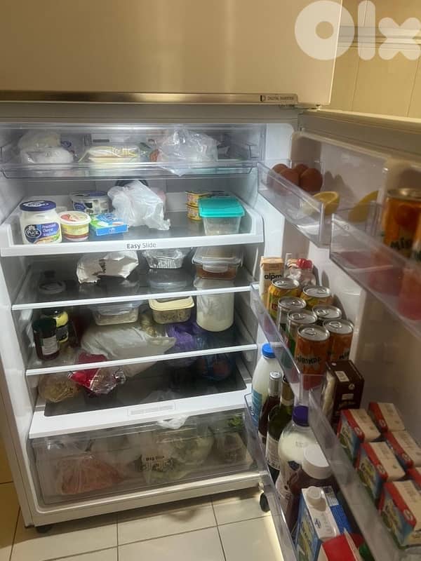 fridge and dishwasher 4