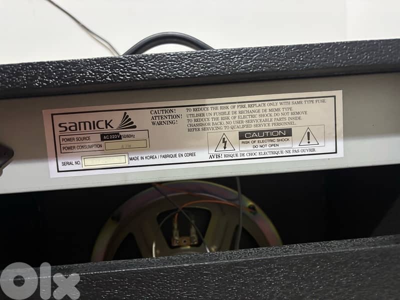 samick amp electric guitar 3