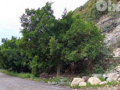 Land For SALE In Halat أرض للبيع #ES