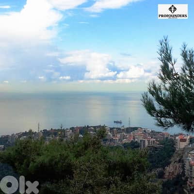 Land for sale in Rabweh ارض للبيع في الربوة