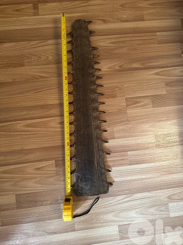 longnose saw shark 3