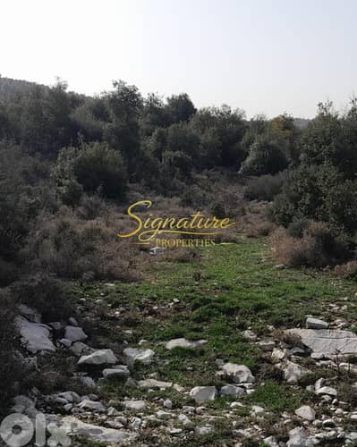 Land for Sale – Kfoun – SGMA102