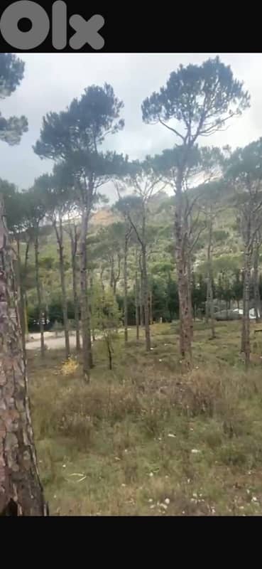 860m land zone 10/20 Two floors Qornayel Hammana Ras Metn