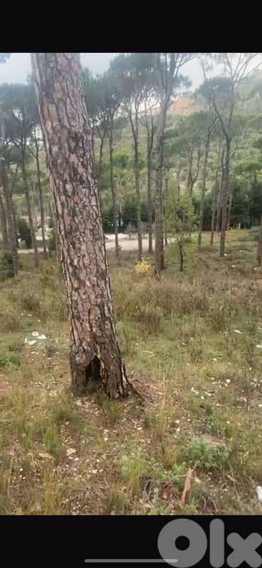 860m land zone 10/20 Two floors Qornayel Hammana Ras Metn 2