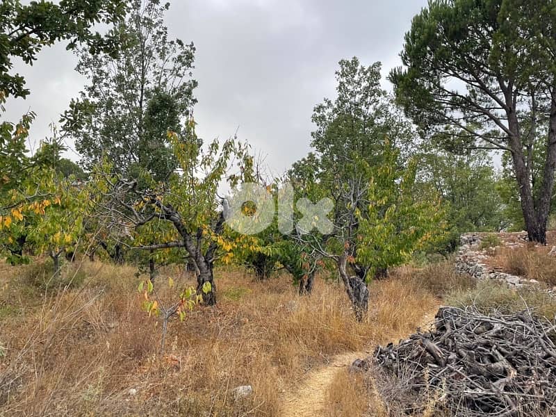 Residential and Industrial 6