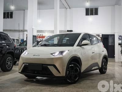 BRAND NEW 2025 BYD SEAGULL FLYING EDITION