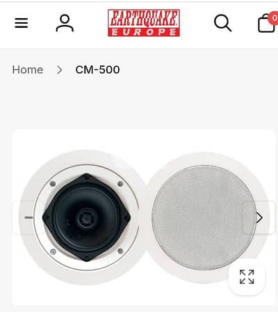 Ceilings speaker