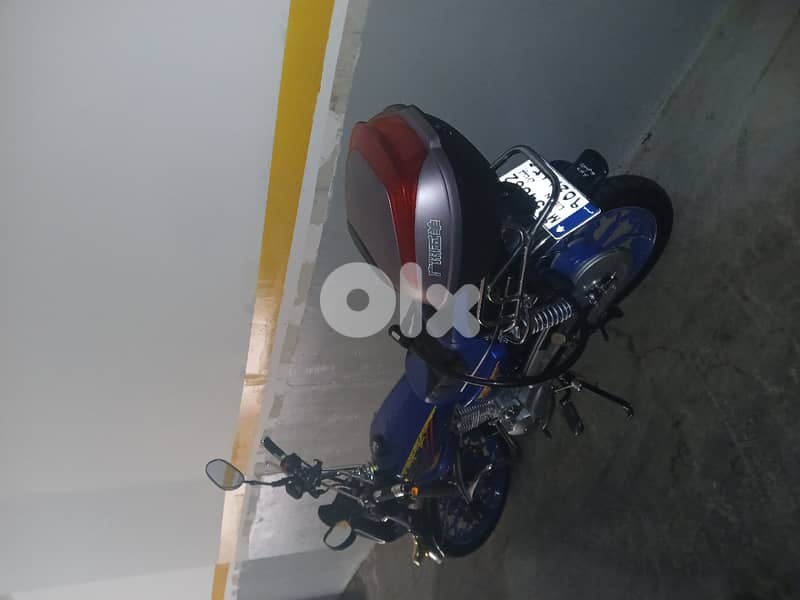 MOTO CG 150CM2 NEUVE IMMATRICULEE 2