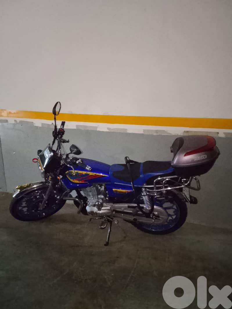 MOTO CG 150CM2 NEUVE IMMATRICULEE 6